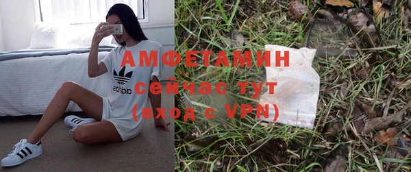 ГАЛЛЮЦИНОГЕННЫЕ ГРИБЫ Белоозёрский