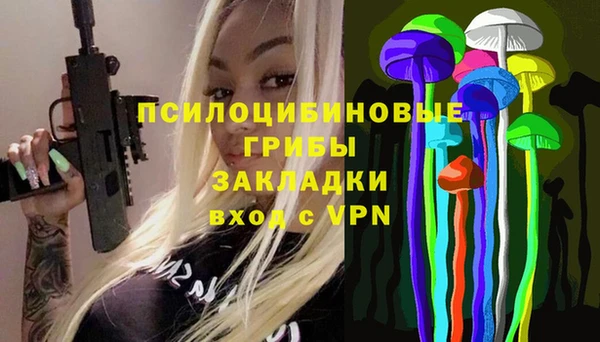 прущий лед Белокуриха