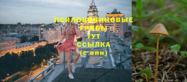 ГАЛЛЮЦИНОГЕННЫЕ ГРИБЫ Белоозёрский